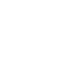 Web Solution